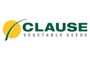 clause-logo