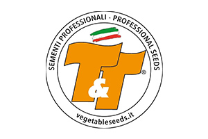 t_t_logo